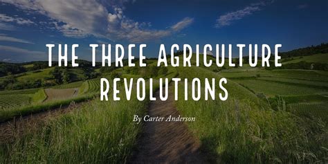 The Agricultural Revolution: A Catalyst for Civilization