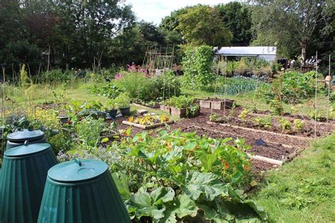 The Allotment Plot Kindle Editon