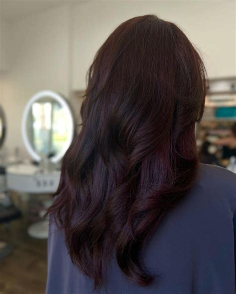 The Allure of Burgundy Dark Hair Color