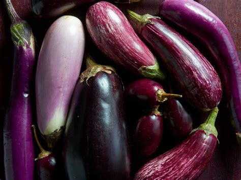 The Allure of Eggplant