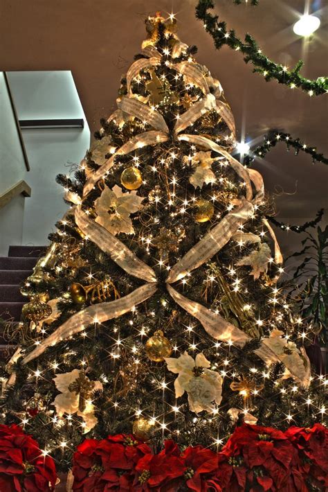 The Allure of Gold Christmas Trees