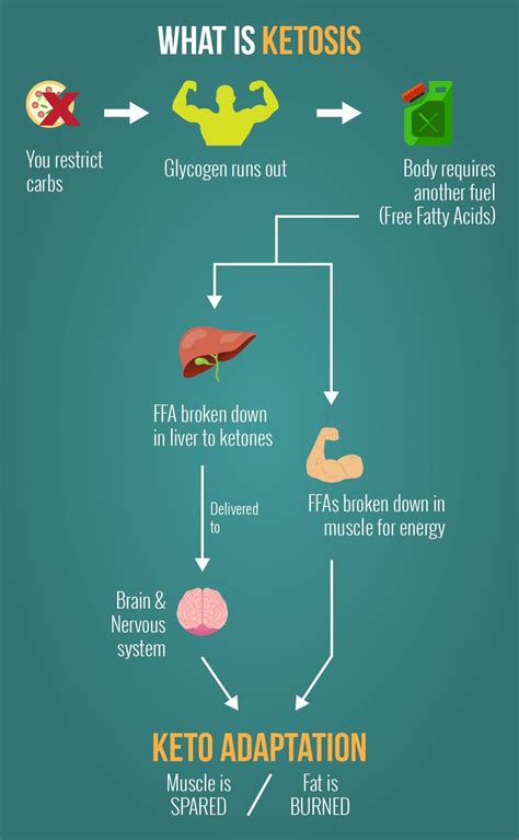 The Allure of Ketosis