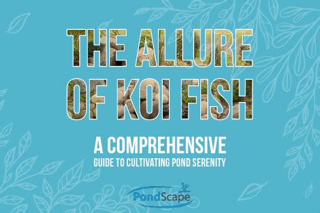 The Allure of Koi and Goldfish: A Comprehensive Guide to Grace and Beauty