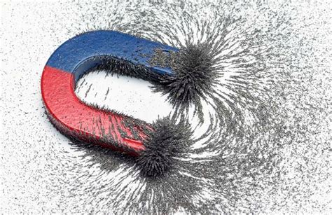 The Allure of Magnetism: An Introduction