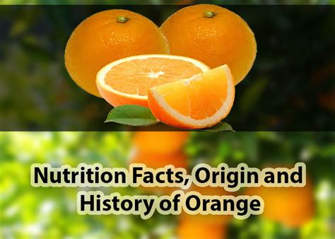 The Allure of Orange: A Historical Perspective