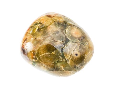 The Allure of Orbicular Jasper: A Geological Enigma