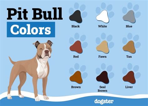 The Allure of Rare Pit Bull Colors