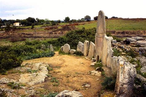 The Allure of Tomb Enginge: Exploring the Roots of Its Popularity