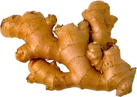 The Allure of the Horny Ginger: Unraveling the Medicinal Marvel