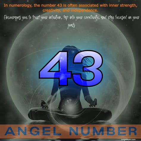 The Allure of the Number 43