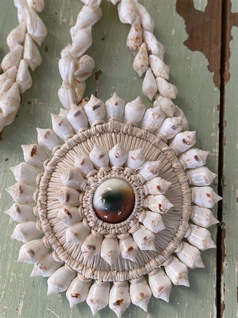 The Alluring Shiva Eye Shell: A Mystical Gem of the Sea