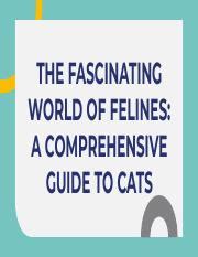 The Alluring World of Mistress Kitty: A Comprehensive Guide to Enchanting Felines