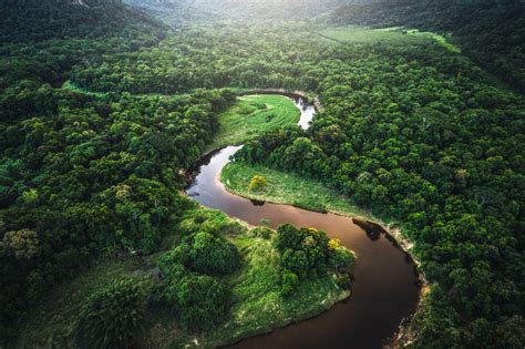 The Amazing Amazon Rainforest