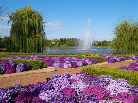 The American Flower Garden Reader