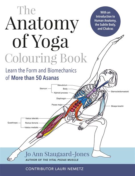 The Anatomy of Essential Yoga Clothing