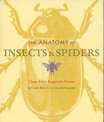 The Anatomy of Insects and Spiders: Over 600 Exquisite Forms Ebook Epub