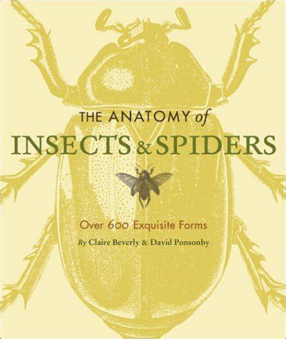 The Anatomy of Insects and Spiders: Over 600 Exquisite Forms Ebook Epub