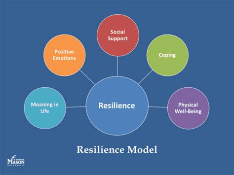 The Anatomy of Resilience: An Endurance Bobblehead Overview