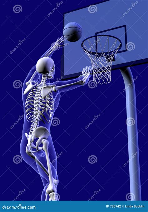 The Anatomy of a Basketball