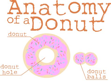 The Anatomy of a Bogus Donut