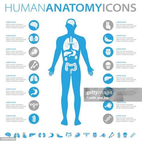 The Anatomy of a Collector