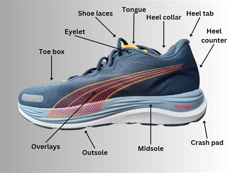 The Anatomy of a Discounted Brooks Running Shoe