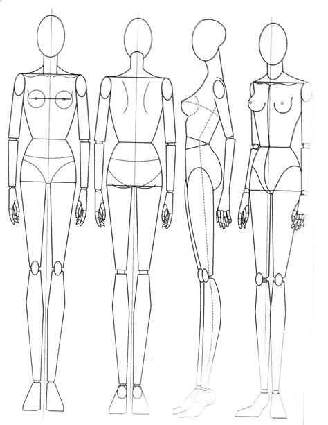 The Anatomy of a Mannequin Base