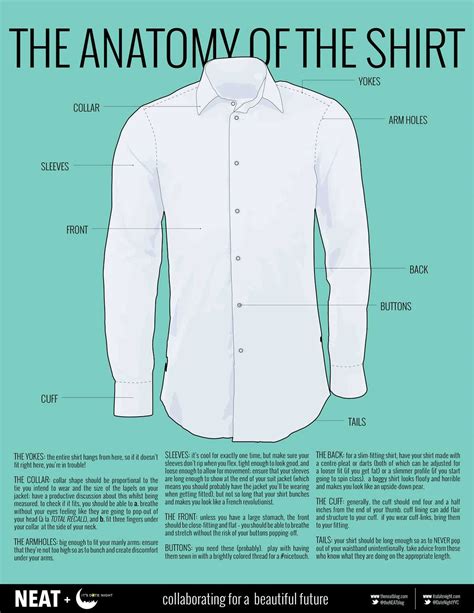 The Anatomy of a Shirt: Exploring the Essential Parts