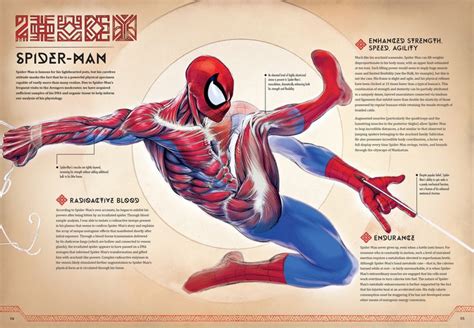 The Anatomy of a Spider-Man Costume