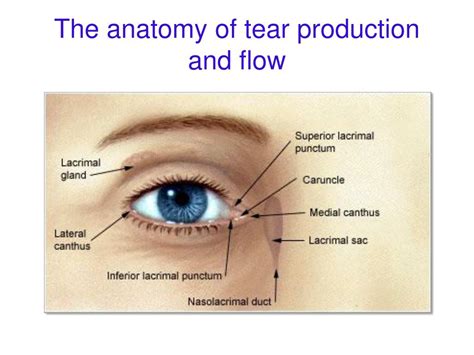 The Anatomy of a Tear