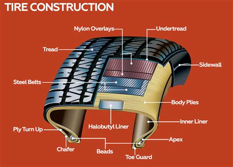 The Anatomy of a Tire