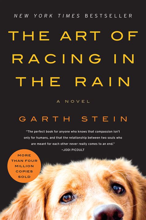 The Art of Racing in the Rain A Novel Reader