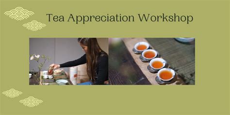 The Art of Tea Appreciation: A Comprehensive Workshop for Enhancing Your Tea Experience