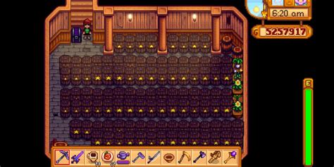 The Art of Winemaking in Stardew Valley