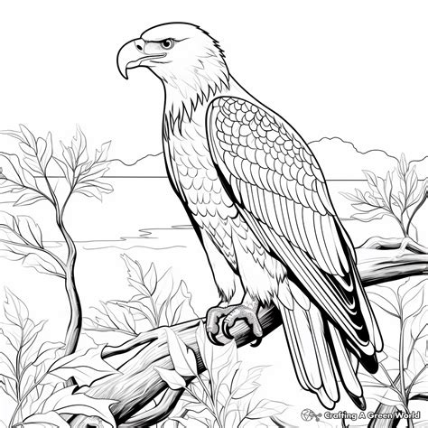 The Audubon Birds Coloring Book Kindle Editon