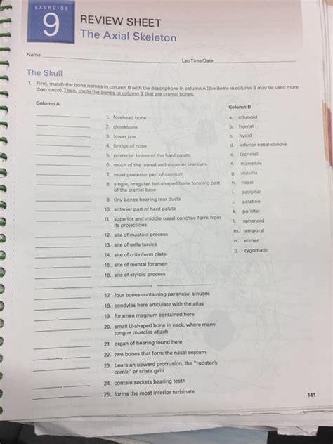 The Axial Skeleton Exercise 8 Answer Key Reader