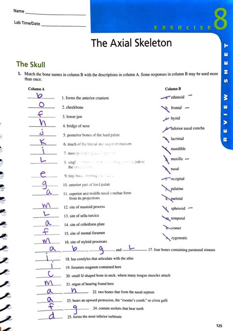 The Axial Skeleton Exercise 8 Answers Epub