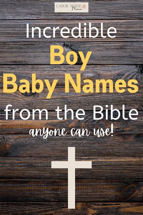 The Baby Name Bible The Ultimate Guide by America&ap Reader