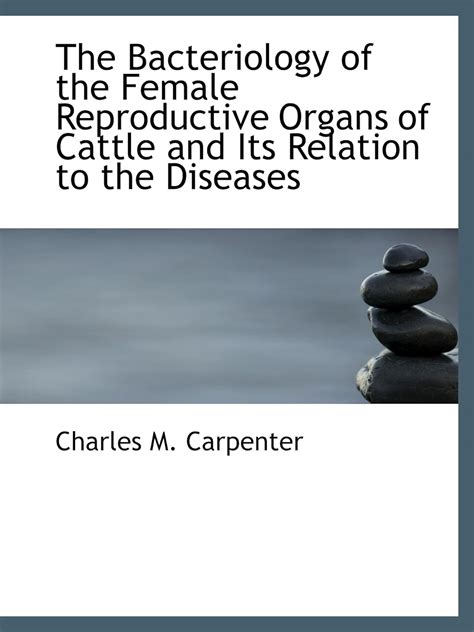 The Bacteriology of the Female Reproductive Organs of Cattle and Its Relation to the Diseases of Cal Doc