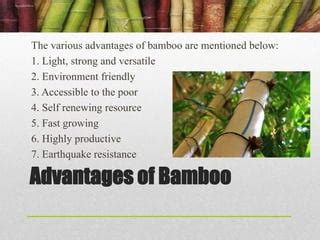 The Bamboo Advantage