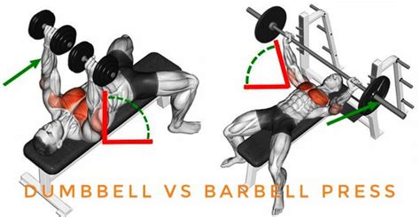 The Barbell vs. Dumbbell Bench Press: Which Is Right for You?