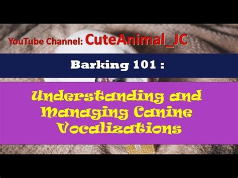 The Barking Road: Understanding and Addressing Canine Vocalizations