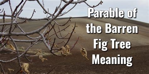 The Barren Fig Tree Doc