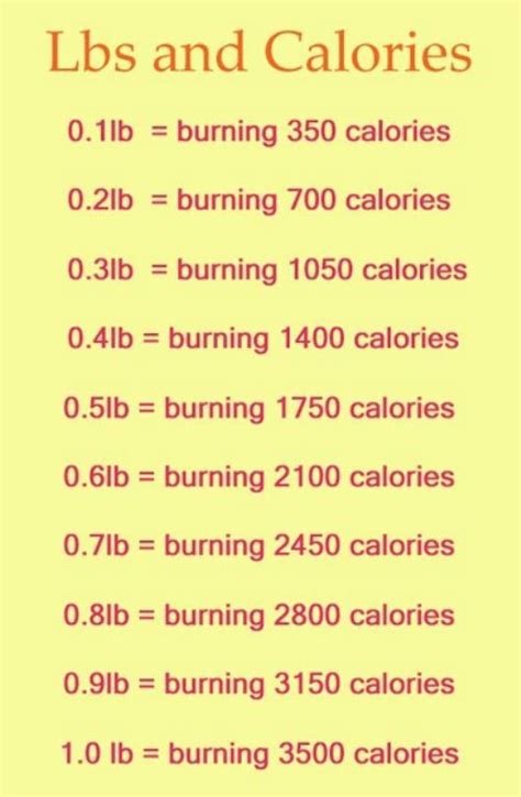 The Basics of Calorie to Pound Conversion