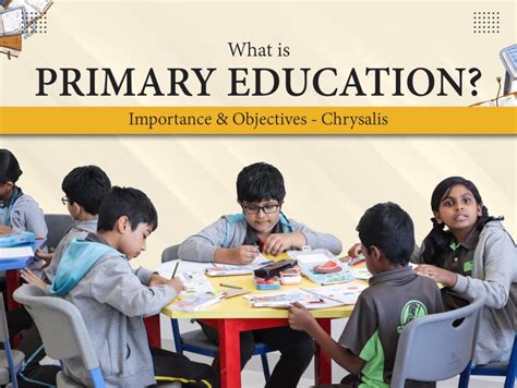 The Basics of Primary Ed Doc