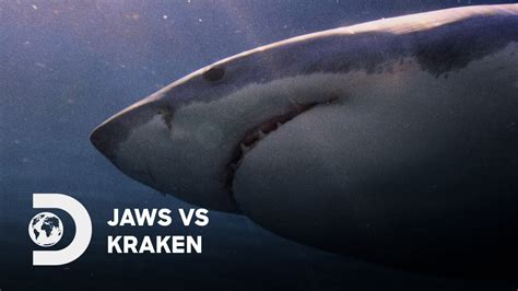 The Battle of the Beasts: Flyers vs. Kraken