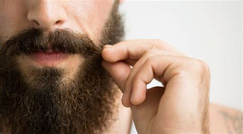 The Bearded Theory: A Comprehensive Guide to Growing and Maintaining a Majestic Beard