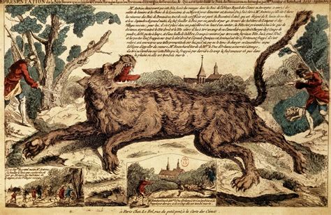 The Beast of Gévaudan: A Terrifying Enigma of the 18th Century