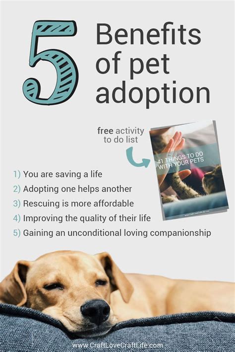 The Benefits of Adopting a Rescue Animal