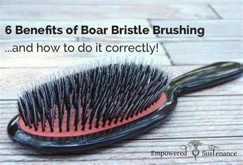 The Benefits of Boar Bristles: